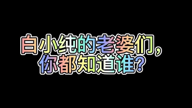 白小纯的老婆们,你都知道有谁?