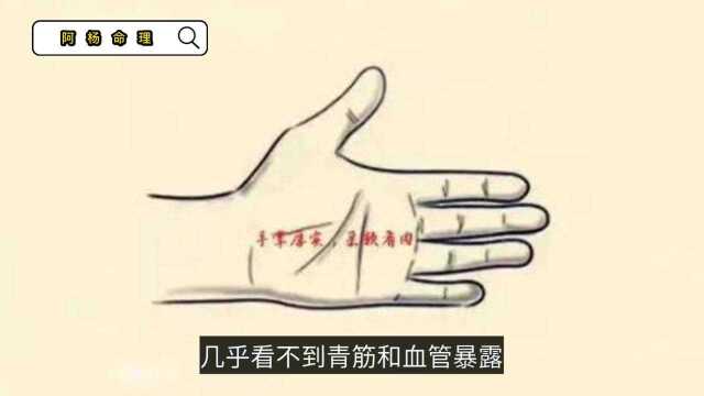 女人6类富贵手纹,看看你中了几种?