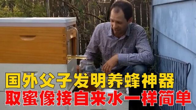 国外父子发明的养蜂神器,让取蜂蜜,像接自来水一样简单 #“知识抢先知”征稿大赛#