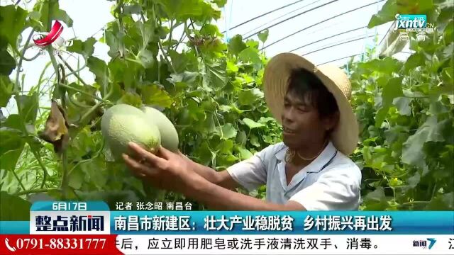 南昌市新建区:壮大产业稳脱贫 乡村振兴再出发