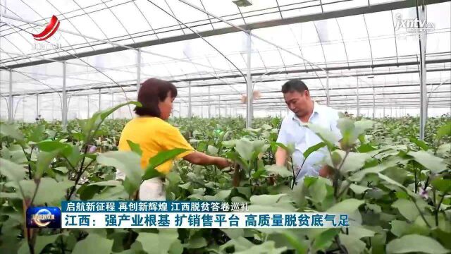 江西:强产业根基 扩销售平台 高质量脱贫底气足