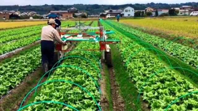 韩国:智能化覆膜技术,从铺膜到架棚根本不用弯腰