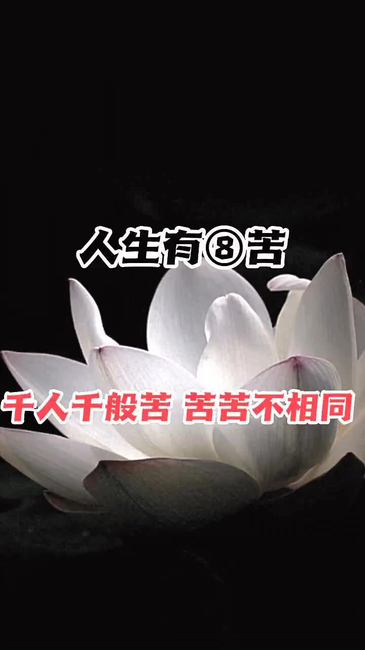 人生有八苦,千人千般苦,苦苦不相同