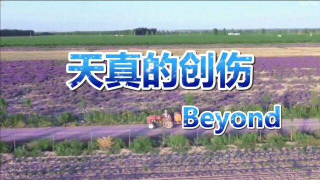 Beyond《天真的创伤》抒情歌曲,很好听