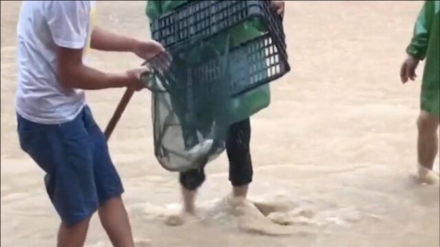 贵州平塘暴雨过后路面被淹,市民街头欢乐撒网捕鱼