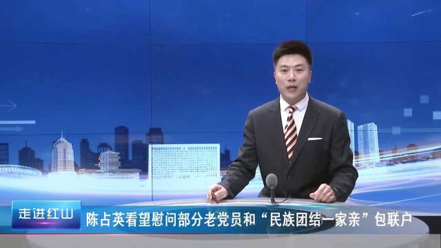 陈占英看望慰问部分老党员和“民族团结一家亲”包联户