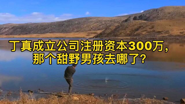 丁真陈立公司注册资本300万,那个甜野男孩去哪了?