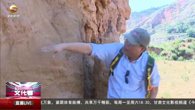 甘肃发现2650万年前巨犀新种“临夏巨犀”