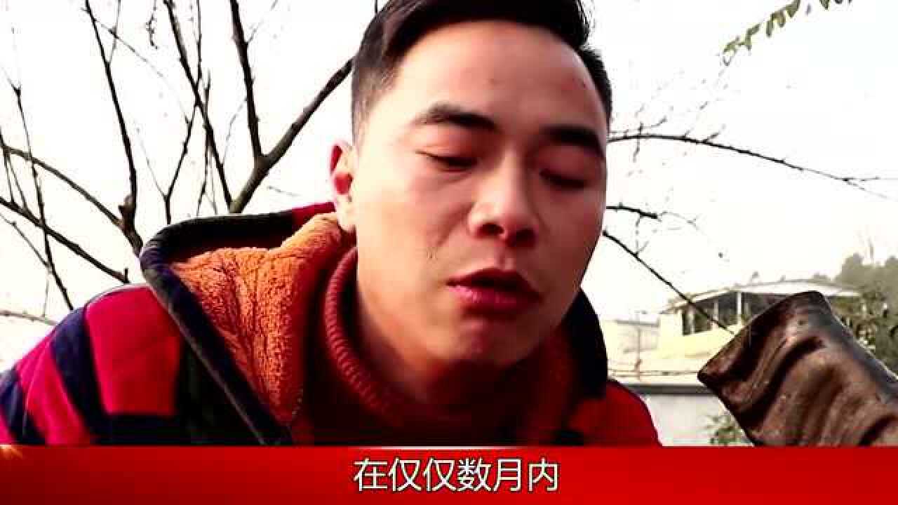 歪厨子余小二四川人尽皆知的黑暗料理王吃吐狗子吃翻老丈人