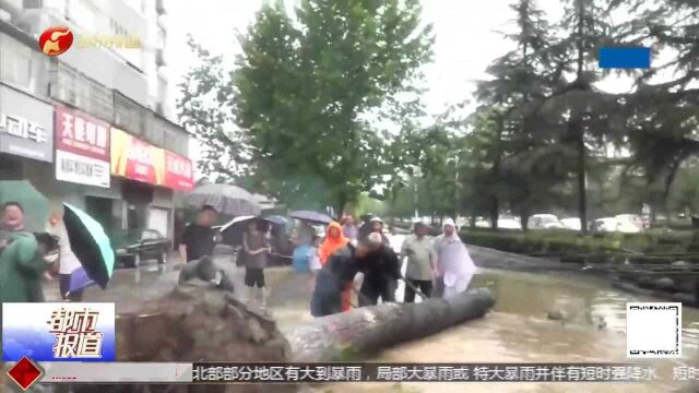 郑州登封暴雨破历史极值,道路成河,大树连根拔起