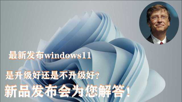 windows11备受网友吐槽,是否要升windows11系统?软件太多不是什么好事!