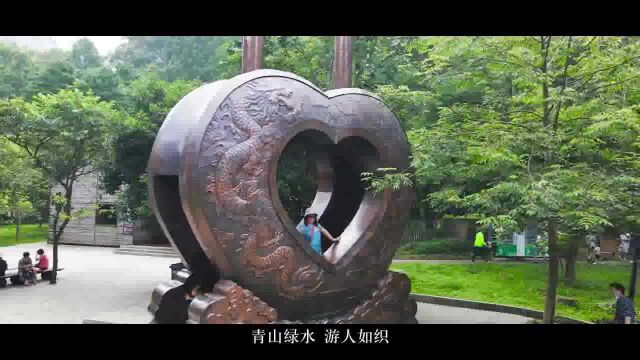 “两优一先”好榜样|琵琶溪景区管委会:打造“景区党建风景线”