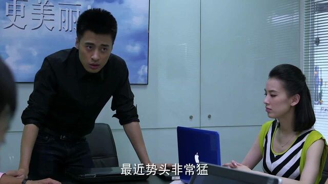 《第22条婚规》精华版第25集:张铎重返公司,情敌空降公司