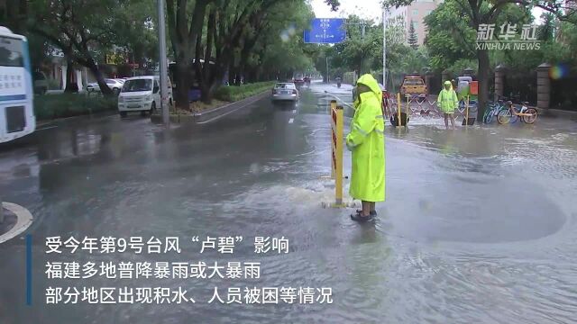 风雨中 我们与你同在