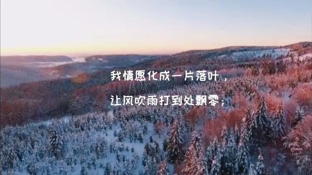 林徽因《情愿》