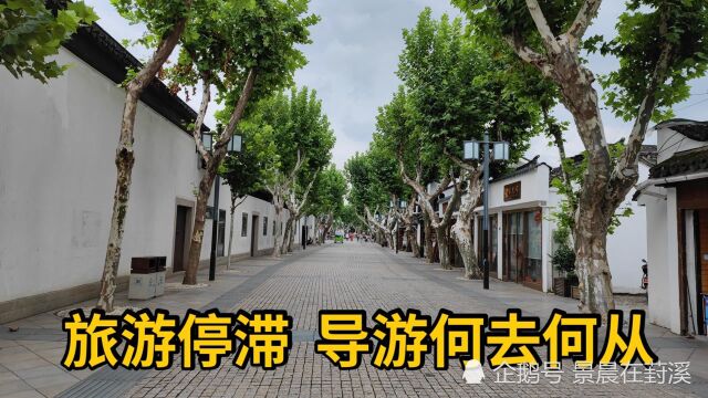 疫情之下旅游业几乎停滞,导游们何去何从?一位苏州导游的自述