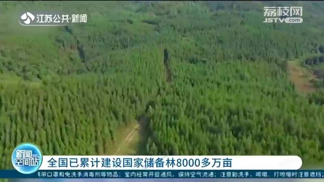 国家储备林:全国已累计建设国家储备林8000多万亩