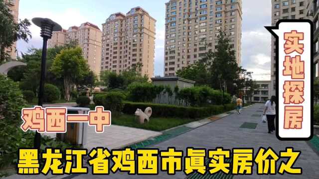 黑龙江省鸡西市真实房价之学区房,实地探房以买房者身份打电话谈价