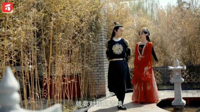 小说视频推荐:废柴嫡女要翻身