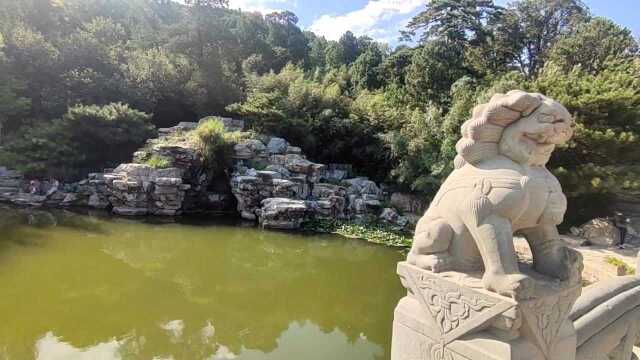 北京香山 山脚下松树 花园 享受宁静夏天的午后