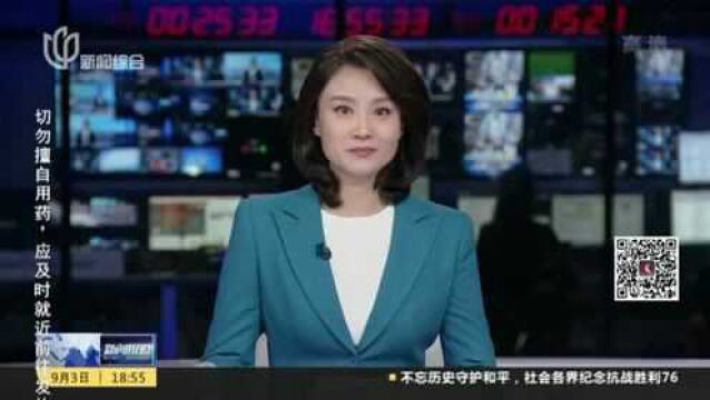 小动物“爬”上树 上海首创树洞彩绘修补