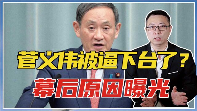 突发!菅义伟被逼下台了?幕后原因曝光,给全球多个意想不到