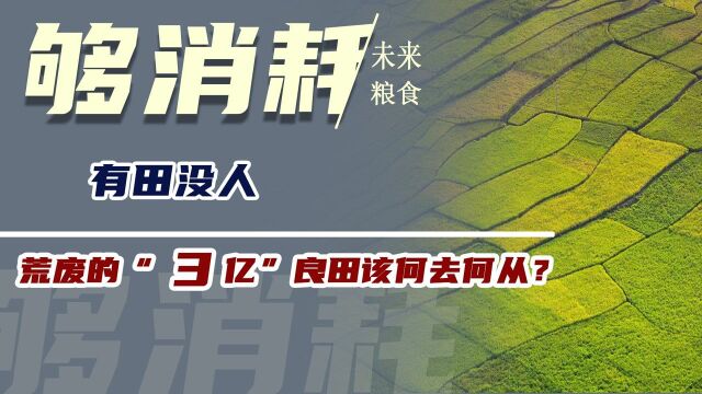 有田没人,荒废的“3亿”良田该何去何从?,未来粮食够消耗吗?