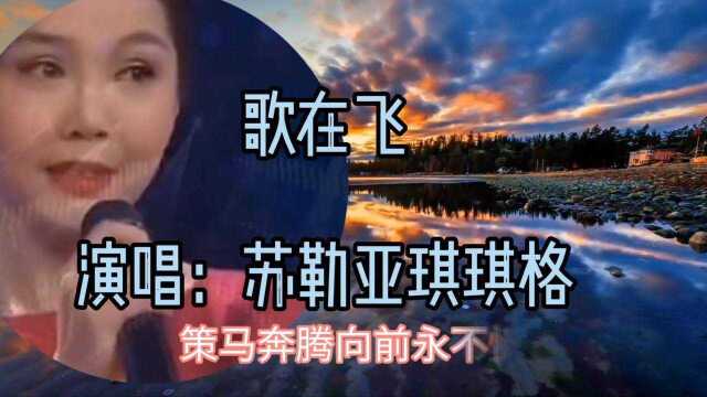 内蒙歌曲《歌在飞》演唱:苏勒亚琪琪格