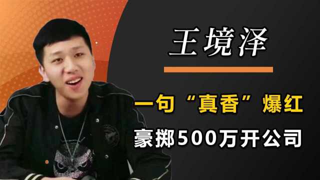 当网红有多赚钱?王境泽成功逆袭总裁,豪掷500万开公司