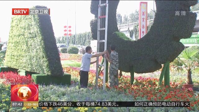 延庆区50万盆鲜花扮靓城区