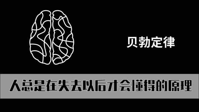 贝勃定律,人总是在失去之后才会懂得的原理