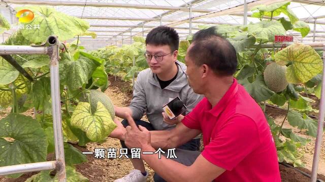 邵阳隆回向家村:爱心企业回乡建设 打造文旅精品村