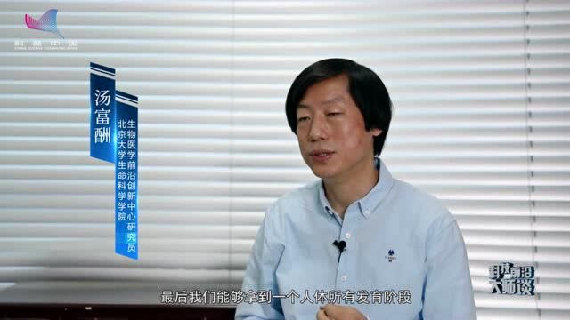 鉴定生殖发育基因 绘制人类生殖发育景观图