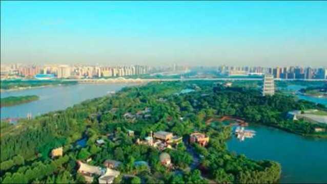 浐灞网安三部曲系列微电影之长安篇 《妈妈的朋友圈》