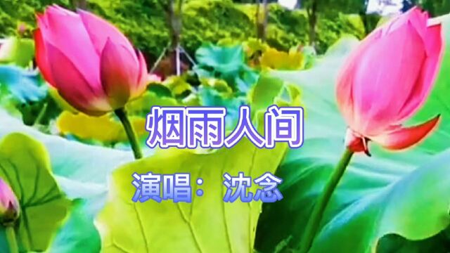 沈念演唱的歌曲烟雨人间旋律优美深情感人让人醉