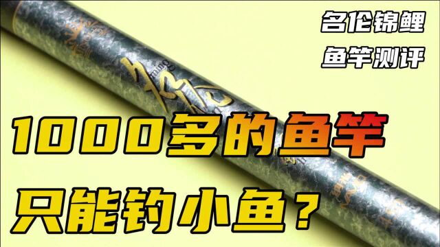 一千两百元买的名伦鱼竿,结果只能钓小鱼?