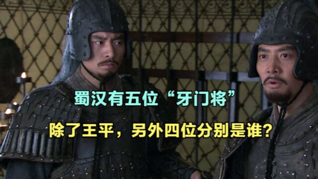 蜀汉有五位“牙门将”:三位战死沙场,其中就有赵云之子!