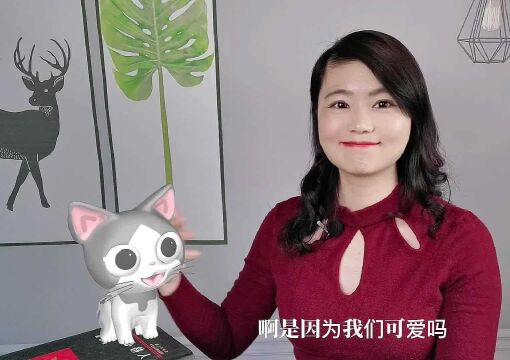 人类为什么喜欢猫咪呢?为什么爱“撸猫”呢?