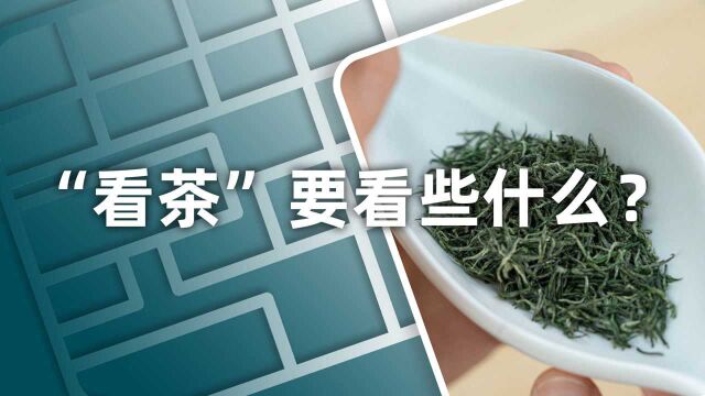 小喜年:选茶小技巧,茶学硕士手把手教你如何“看茶”