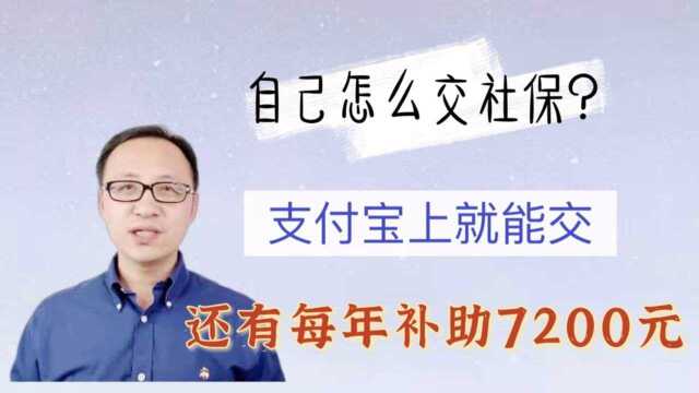 自己怎么交社保 ?支付宝上就能交!还有每年补助7200元!