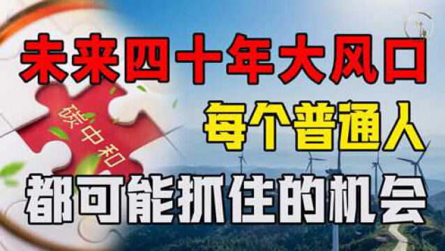 未来四十年大风口,每个普通人都可能抓住的机会