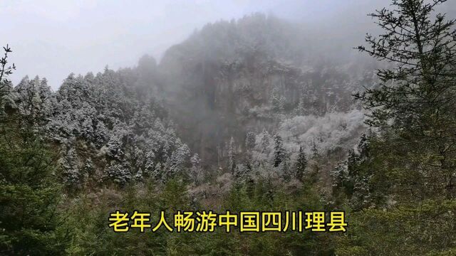 老年人畅游中国,在四川理县毕棚沟景区换乘时,冒雪谈防抢防导游