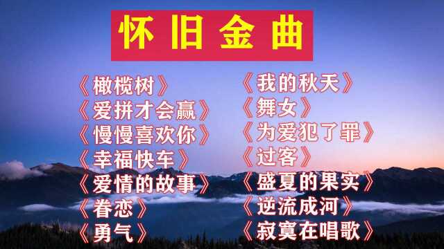 《第一滴泪》《难以抗拒你容颜》《铁血丹心》《潮湿的心》《自作多情》《美酒加咖啡》《无情的情书》《想和你去吹吹风》