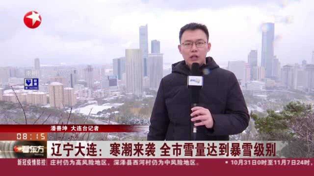 辽宁大连:寒潮来袭 全市雪量达到暴雪级别