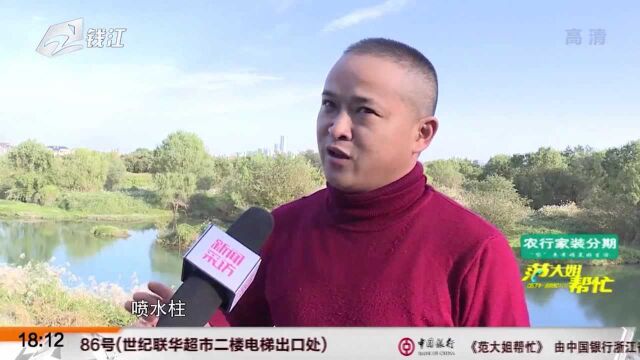 “迷路”江豚现身余杭苕溪 确认是东亚江豚