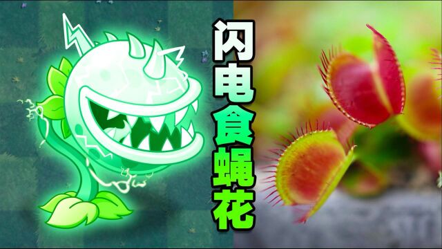 PVZ新植物:闪电食蝇花!酷到没朋友!