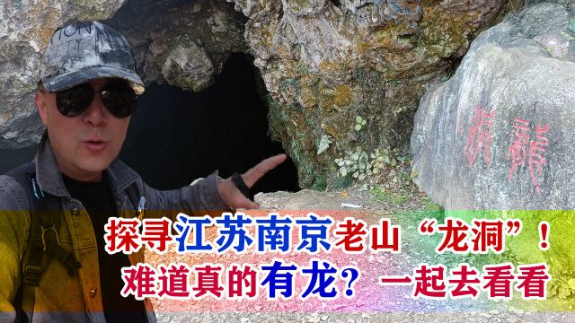 探寻江苏南京老山“龙洞”:原生态、未开发!一起去看看