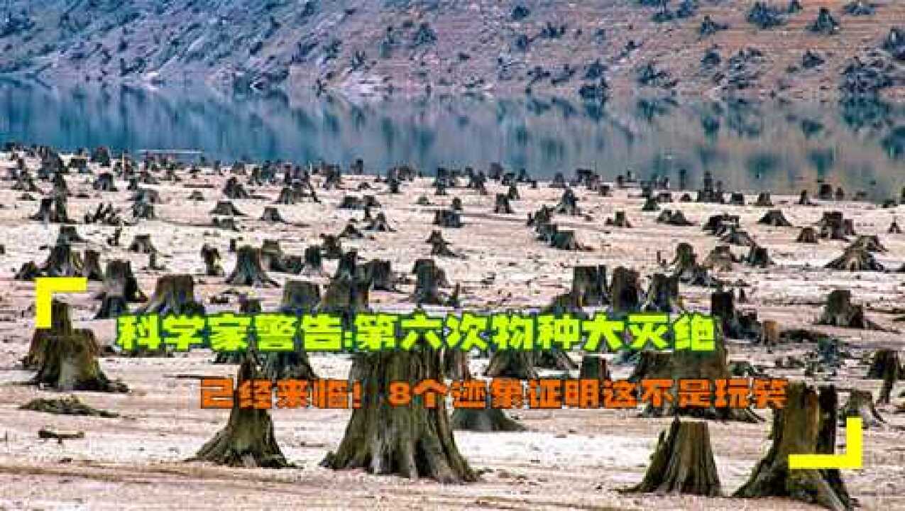 科学家警告:第六次物种大灭绝已经来临!8个迹象证明这不是玩笑