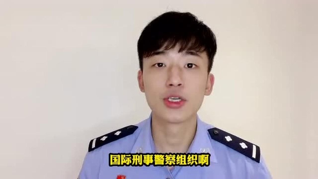 国际刑警 到底是什么组织?肥肥为你详细解答!