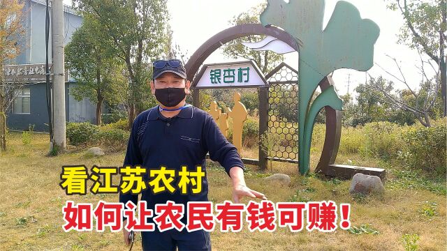 实拍江苏泰兴农村,看他们如何搞活经济,让农民有钱可赚